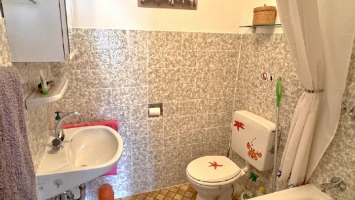 Gepflegtes Dreifamilienhaus zzgl.  App.  2x Garagen und Traumgarten
