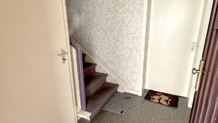 Gepflegtes Dreifamilienhaus zzgl.  App.  2x Garagen und Traumgarten